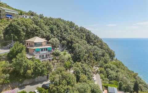 Lambrusca: Cielo, Pianta, Proprietà, Costruzione, Albero, Nube, Costiera E Morfologie Oceanic, Urban Design, Condominio, Quartiere