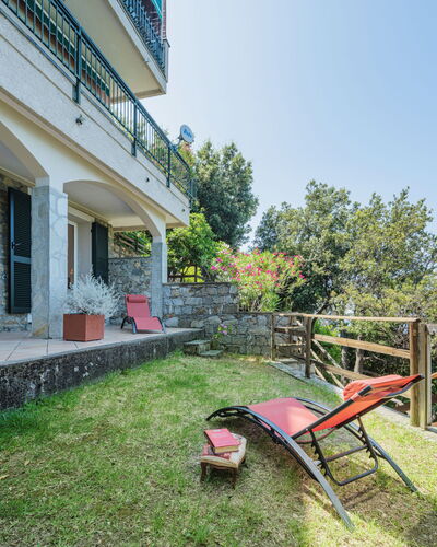 Lambrusca: Plant, Sky, Property, Building, Window, Wheel, Land Lot, Outdoor Furniture
