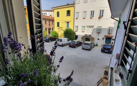 Lucida: Pianta, Costruzione, Finestra, Auto, Ruota, Fiore, Veicolo, Manto Stradale, Urban Design