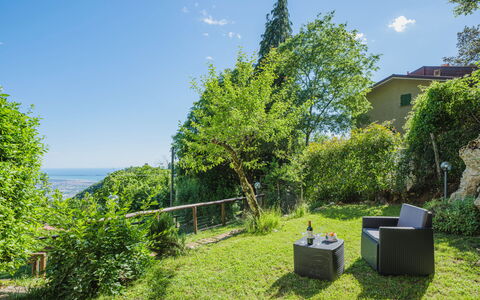 Il Nido: Nube, Cielo, Pianta, Proprietà, Comunita 'Impianto, Paesaggio Naturale, Ambiente Naturale, Botanica, Albero, Lotto