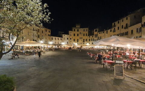 Loft Lucca: Costruzione, Tenda, Pianta, Tempo Libero, Albero, Città, Zona Urbana, Uso Misto, Manto Stradale, Insediamento Umano
