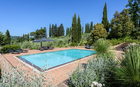 Villa Pancole: Acqua, Pianta, Cielo, Albero, Natura, Azzurro, Erba, Piscina, Paesaggio Naturale, Tempo Libero