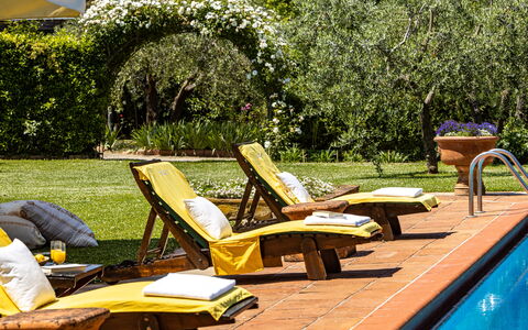 Podere La Torre: Pianta, Verde, Acqua, Mobili Da Esterno, Legna, Lettino, Shade, Albero, Tempo Libero, Erba