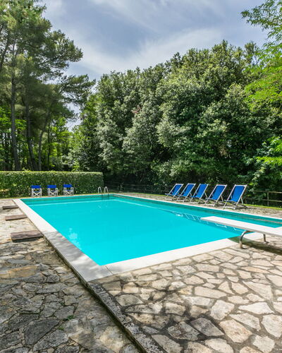 Saletto: Water, Plant, Sky, Swimming Pool, Cloud, Tree, Shade, Rectangle, Outdoor Furniture, Grass