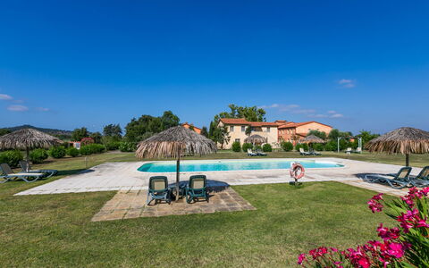 Quercia Alta: Sky, Plant, Water, Tree, Natural Landscape, Flower, Swimming Pool, Cloud, Grass, Leisure