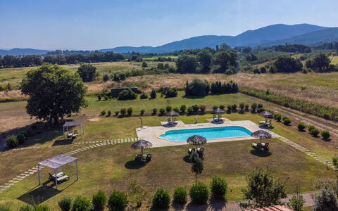 Quercia Alta: Sky, Plant, Swimming Pool, Urban Design, Shade, Tree, Cloud, Grass, Real Estate, Landscape