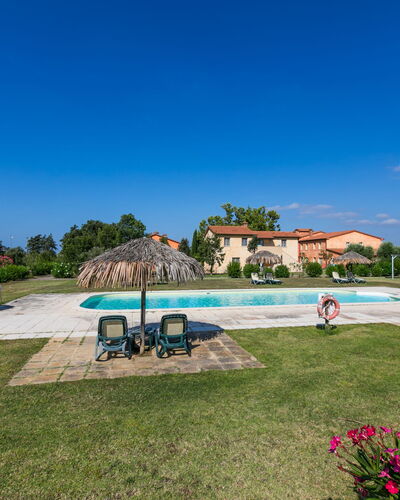 Quercia Alta: Sky, Plant, Water, Tree, Natural Landscape, Flower, Swimming Pool, Cloud, Grass, Leisure