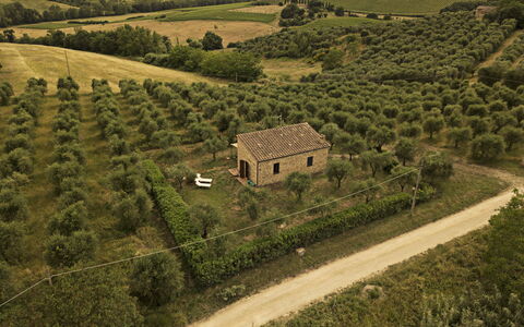 Montauto: Pianta, Costruzione, Paesaggio Naturale, Casa, Lotto, Highland, Albero, Agricoltura, Pascolo, Erba