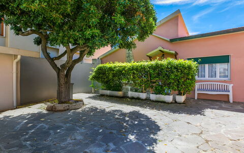 San Vincenzo 644: Shade, Garden, Landscaping, Driveway, Walkway, Hacienda