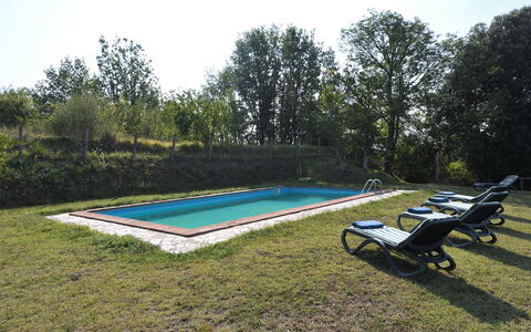 Villa Antelminelli: Pianta, Cielo, Piscina, Albero, Shade, Mobili Da Esterno, Panchina, Rettangolo, Tempo Libero, Erba