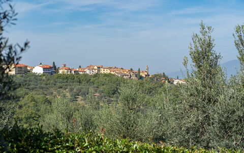 Residenza la Casuccia: Cielo, Pianta, Nube, Ecoregione, Paesaggio Naturale, Lotto, Vegetazione, Albero, Costruzione, Erba