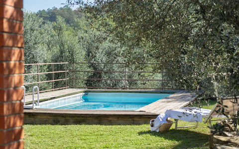 Residenza la Casuccia: Acqua, Pianta, Piscina, Shade, Tempo Libero, Erba, Materiale Composito, Paesaggio, Legna, Rettangolo
