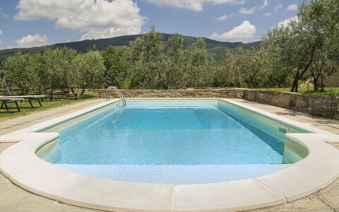 Orangerie Degli Ulivi: Acqua, Nube, Cielo, Proprietà, Piscina, Azzurro, Pianta, Albero, Rettangolo, Shade