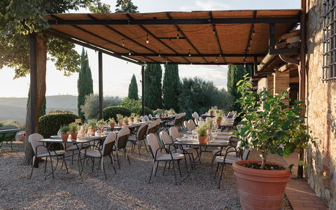 Villa Sulle Crete: Pianta, Tavolo, Mobilia, Proprietà, Vaso Di Fiori, Shade, Sedia, Tavolo Esterno, Albero, Mobili Da Esterno