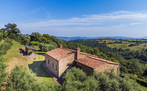 Scansano 131: Sky, Cloud, Plant, Tree, Natural Landscape, Land Lot, Building, Residential Area, Wood, Landscape