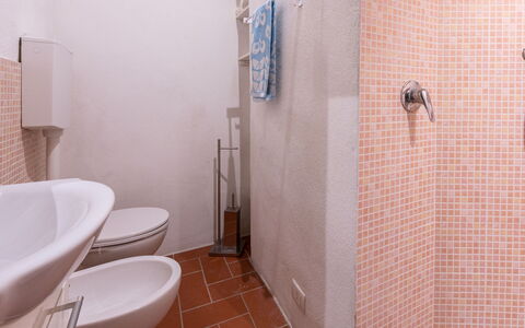 Massa Marittima 350: Proprietà, Idraulico Fixture, Bagno, Viola, Costruzione, Interior Design, Gabinetto, Lavandino Del Bagno, Pavimentazione