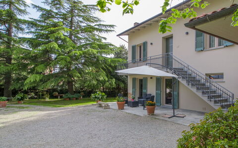 Volpe: Cielo, Proprietà, Costruzione, Neve, Finestra, Legna, Pendenza, Casa, Albero