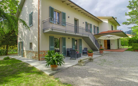 Volpe: Cielo, Proprietà, Costruzione, Neve, Finestra, Legna, Pendenza, Casa, Albero