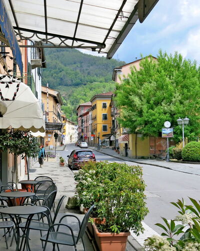 Delle Stelle: Plant, Property, Car, Flowerpot, Sky, Building, Cloud, Wheel, Chair, Houseplant