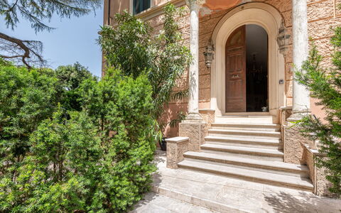 Sanda: Pianta, Proprietà, Costruzione, Le Scale, Finestra, Porta, Cielo, Albero, Manto Stradale, Casa