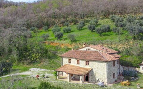 Guarda Valle: Pianta, Comunita 'Impianto, Paesaggio Naturale, Botanica, Casa, Albero, Costruzione, Lotto, Vegetazione, Biome