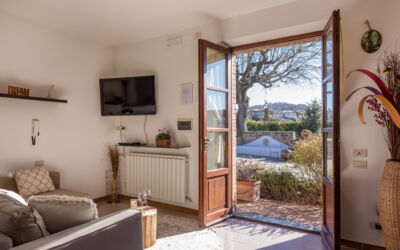 Paradiso Deluxe: Property, Plant, Couch, Wood, Houseplant, Interior Design, Shade, Flooring, Floor, Living Room