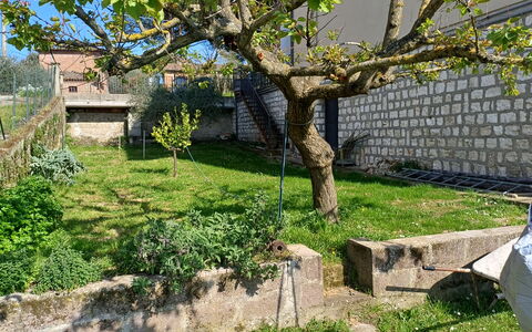 Casa Della Selce: Pianta, Albero, Ramo, Lotto, Finestra, Casa, Erba, Biome, Tronco, Woody Impianto