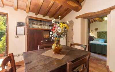 Accommodation:&nbsp;Olinto 250.1