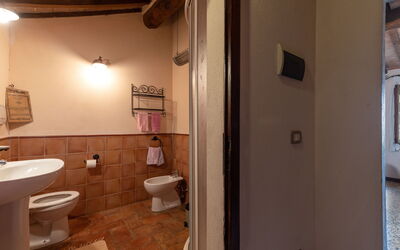 Accommodation:&nbsp;Carola 250.2