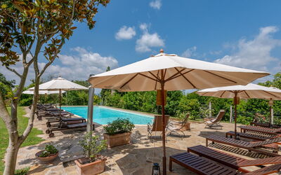 Accommodation:&nbsp;Olinto 250.1