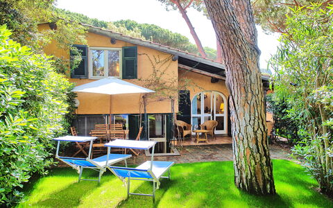 Le Dune: Pianta, Proprietà, Costruzione, Finestra, Albero, Cielo, Shade, Sedia, Mobili Da Esterno, Ombrello