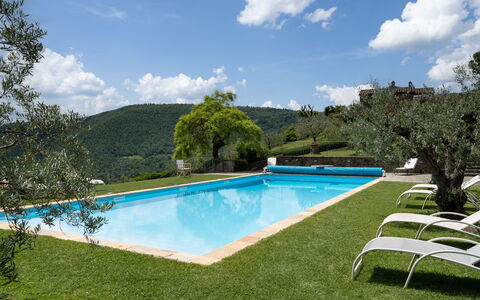Villa Olivi Pool: Acqua, Nube, Pianta, Cielo, Proprietà, Piscina, Albero, Paesaggio Naturale, Corpo D'Acqua, Shade