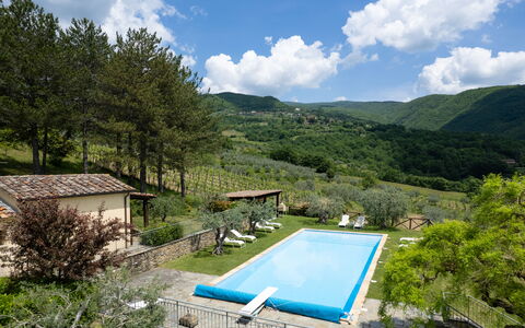 Villa Olivi Pool: Pianta, Acqua, Nube, Cielo, Proprietà, Piscina, Azzurro, Albero, Paesaggio Naturale, Montagna