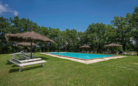 Villa Belvedere - Ambra: Cielo, Proprietà, Pianta, Acqua, Piscina, Shade, Albero, Casa, Lotto, Erba