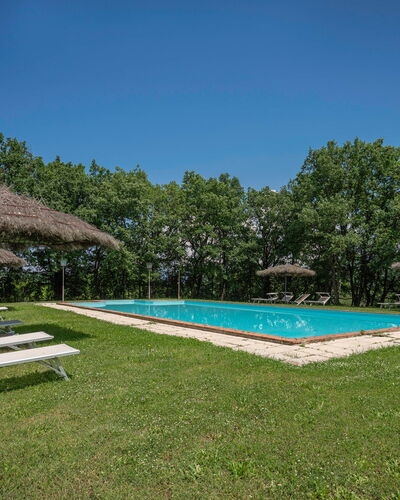 Villa Belvedere - Ambra: Sky, Property, Plant, Water, Swimming Pool, Shade, Tree, House, Land Lot, Grass