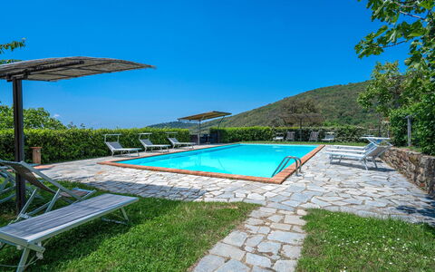 Colle degli Ulivi: Acqua, Cielo, Pianta, Piscina, Ombrello, Mobili Da Esterno, Costruzione, Shade, Rettangolo, Albero