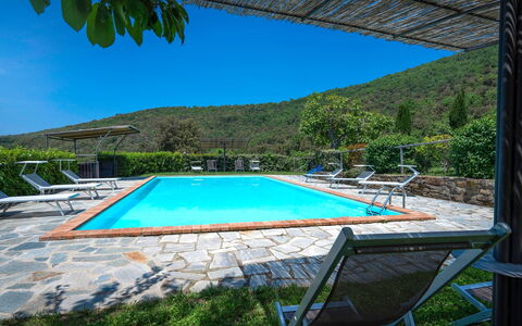 Colle degli Ulivi: Acqua, Cielo, Pianta, Proprietà, Piscina, Azzurro, Sedia, Shade, Albero, Costruzione