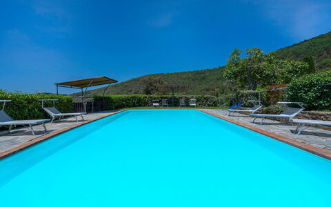 Colle degli Ulivi: Acqua, Cielo, Pianta, Piscina, Azzurro, Rettangolo, Costruzione, Shade, Casa, Albero