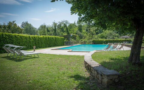 Fonte Nuova: Acqua, Pianta, Cielo, Piscina, Azzurro, Albero, Shade, Nube, Mobili Da Esterno, Erba