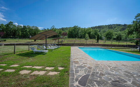 Villa Leopolda Selvarella: Cielo, Acqua, Proprietà, Pianta, Nube, Piscina, Shade, Albero, Erba, Rettangolo