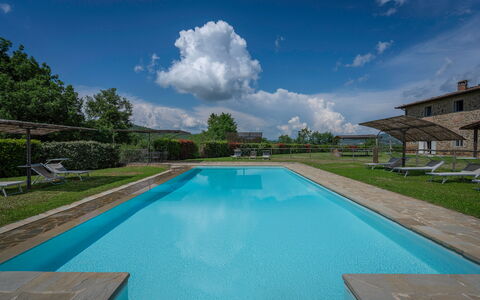 Villa Leopolda Selvarella: Acqua, Nube, Cielo, Pianta, Piscina, Azzurro, Albero, Shade, Mobili Da Esterno, Costruzione
