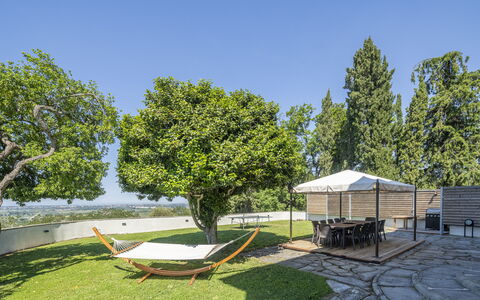 Massarosa Front Lake, The Gargoyles: Albero, Giardino, Lotto, Mobilia, Shade, Mobili Da Esterno, Prato, Landscaping, Sedia, Cortile