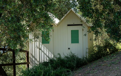 Villa Luxury Marignana: Pianta, Ambiente Naturale, Legna, Costruzione, Albero, Porta, Erba, Woody Impianto, Paesaggio Naturale, Area Rurale
