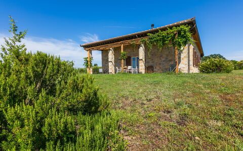 Marte: Acqua, Tavolo, Cielo, Nube, Mobilia, Pianta, Proprietà, Sedia, Azzurro, Tavolo Esterno