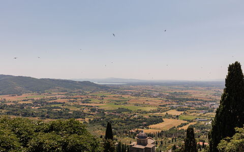 Casa Novecento: Cielo, Comunita 'Impianto, Ecoregione, Highland, Albero, Pianta, Montagna, Paesaggio Naturale, Nube, Fenomeno Atmosferico