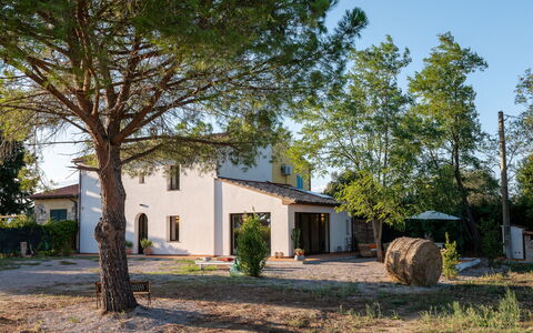 Podere San Fermo: Pianta, Cielo, Proprietà, Costruzione, Albero, Shade, Lotto, Casa, Finestra, Erba