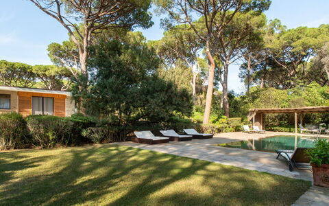 Villa La Pineta: Pianta, Cielo, Costruzione, Finestra, Albero, Shade, Lotto, Erba, Zona Residenziale, Villetta