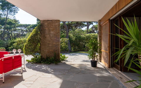 Villa La Pineta: Pianta, Proprietà, Shade, Tavolo, Interior Design, Albero, Erba, Costruzione, Pavimento, Parete
