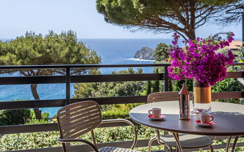 Argentarola House, Porto Santo Stefano, Seaview An: Fiore, Pianta, Tavolo, Cielo, Mobilia, Proprietà, Vaso Di Fiori, Natura, Sedia, Costruzione