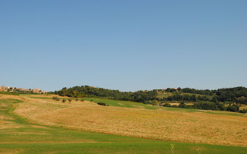 Lina - Podere Ribatti - Casole D'elsa, Toscana: Cielo, Pianta, Paesaggio Naturale, Pendenza, Albero, Agricoltura, Plain, Geografia Montane, Erba, Pascolo